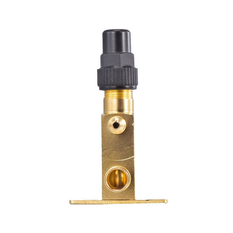 Refrigeration Brass Stainless Steel Vertical Valve with Bracket